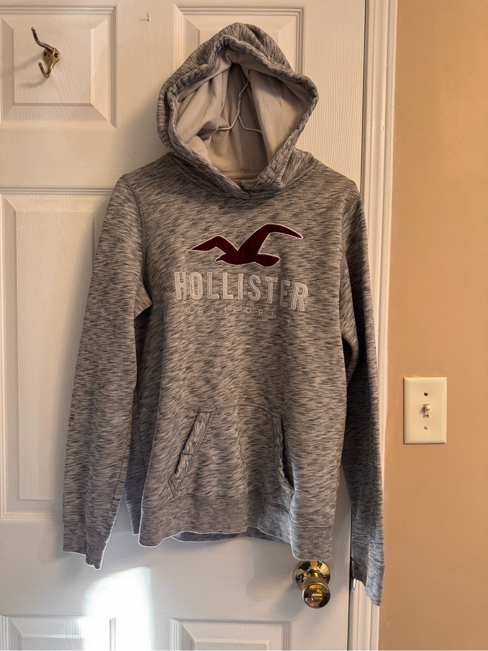 Hollister Men's Heather Gray Hooded Zip-Up with Maroon Seagull Logo